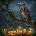 Short sleeve TreasureBoxFriends.com owl tee shirt